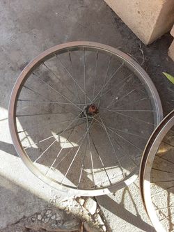 Spokes , 20in