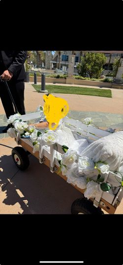 Wedding Flower Girl Wagon