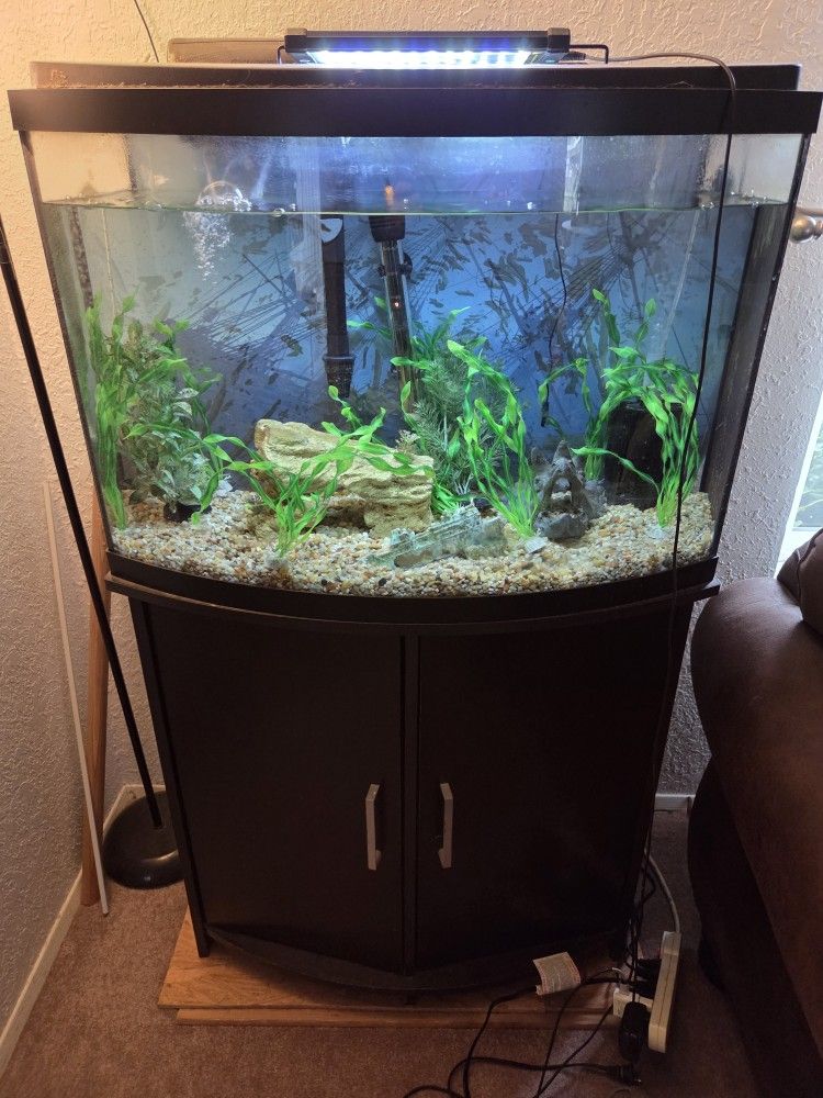 36 Gallon Bowfront Fishtank And Stand