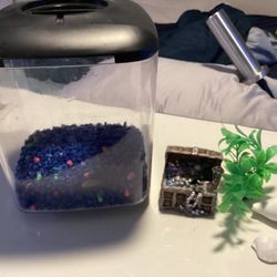 Small betta fish tank  1.7 gallon & Supplies