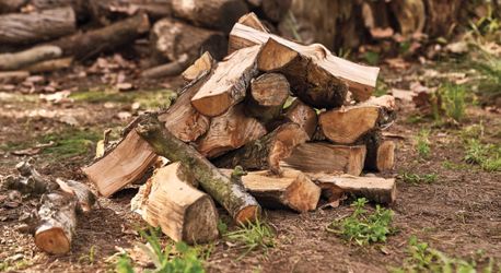 Firewood Ready To Burn 🔥 