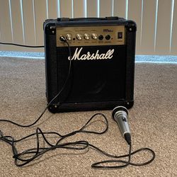 Amplifier & Microphone