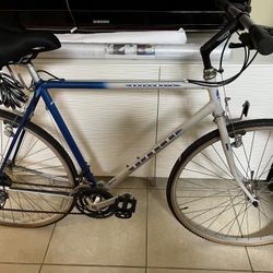 Bianchi Boardwalk Bike