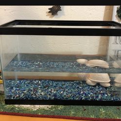 Small Fish Tank 