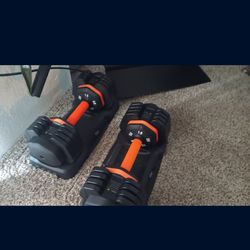 55 lb adjustable dumbbells