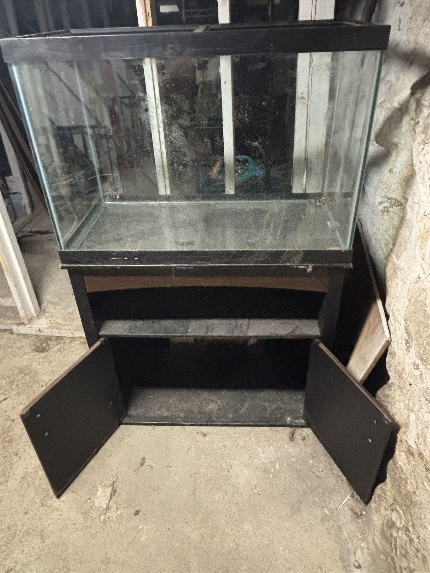 60 Gallon Fish Tank
