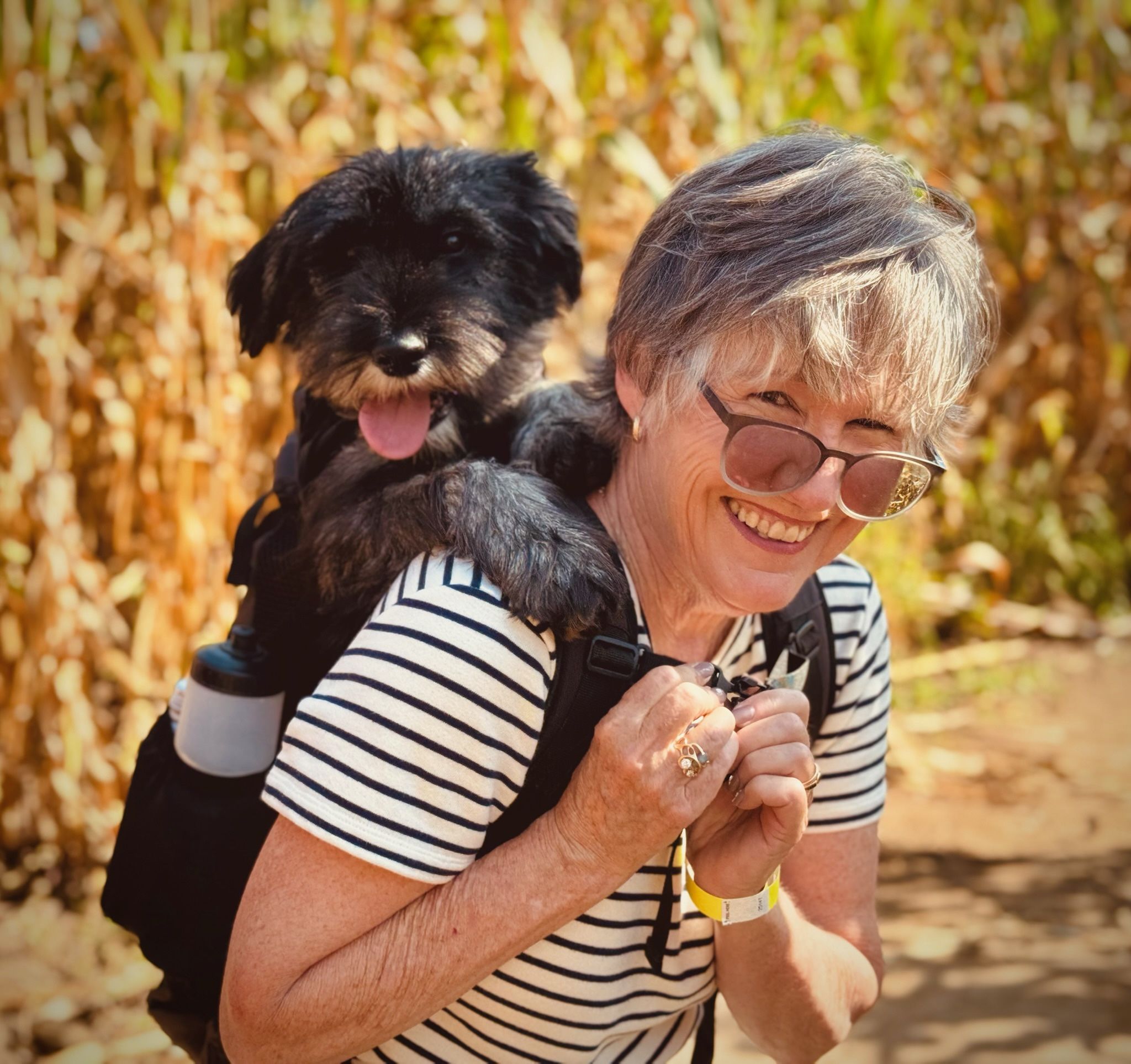 Navigate dog backpack