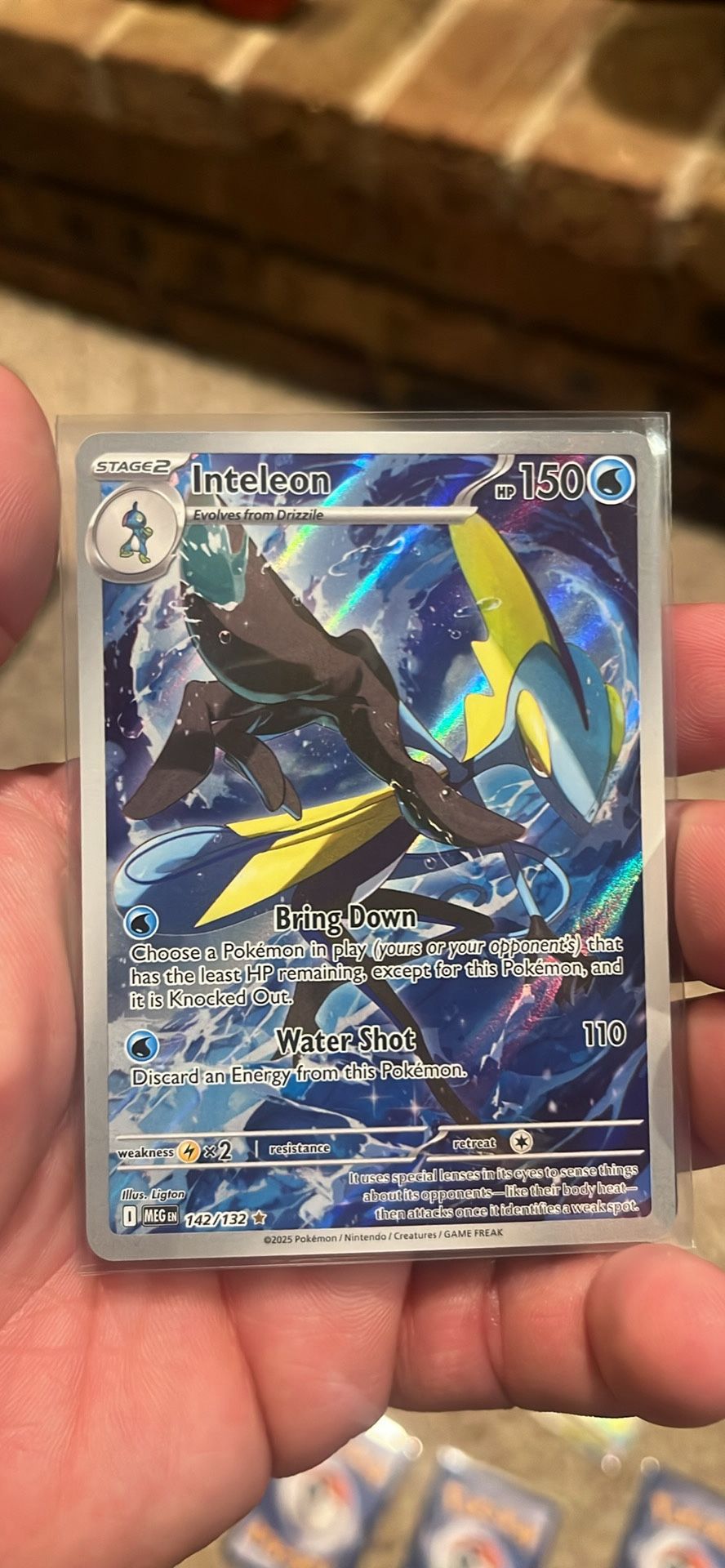 Mega Evolution Card Lot