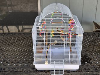 Bird Cages