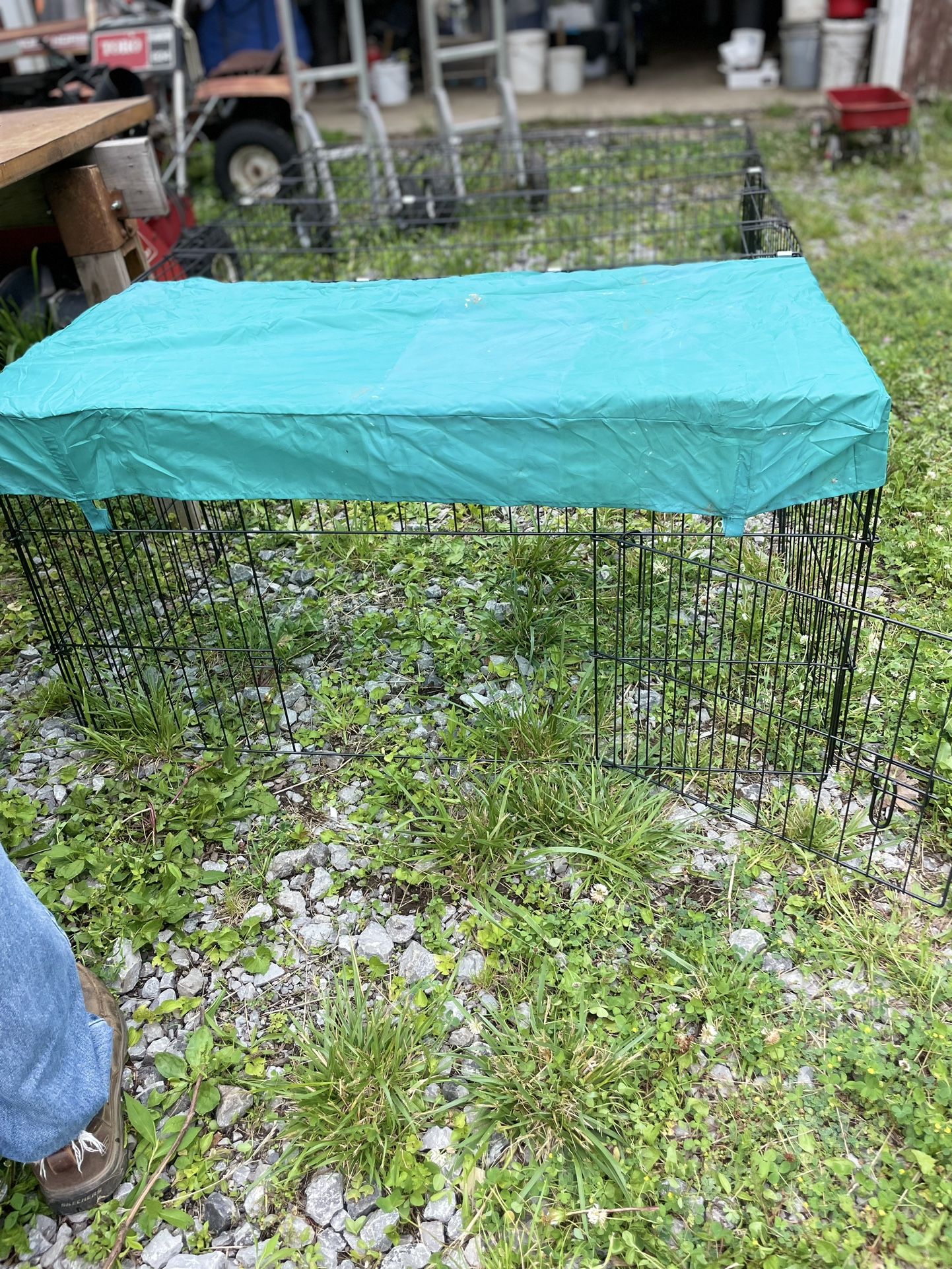 Portable Chicken Coop