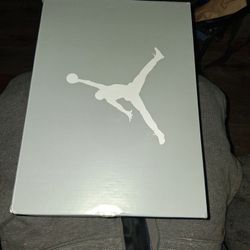 Air Jordan Wolf Grey 5s