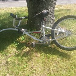 Instep Tag Along Kids Bike