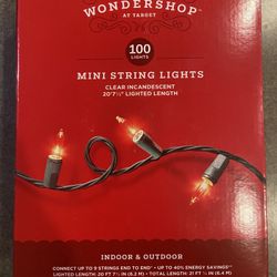 Mini String Lights (100 lights)