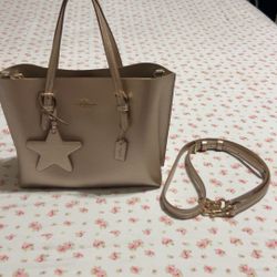  Coach Mollie Tote Bag