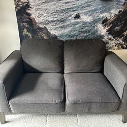 Mid-Century Modern Loveseat/Couch