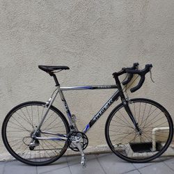 Trek 1000 Road Bike 