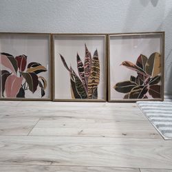 3 Set Framed Art prints