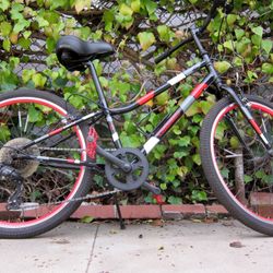 Guardian ETHOS 24 Inch Bike Kids Bicycle 7 Speed