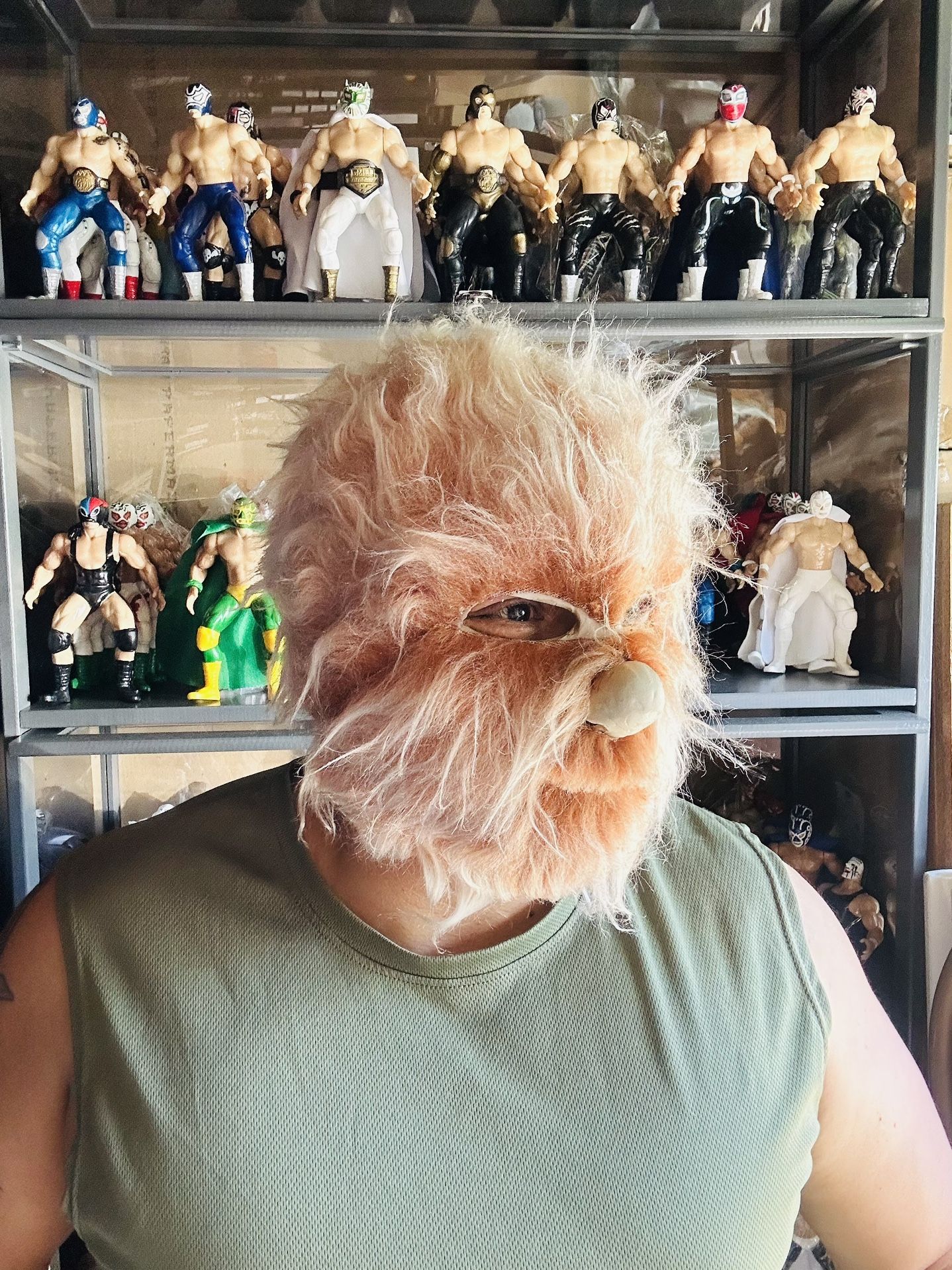 Alushe Lucha Libre Mask Mexican Wrestling Adult Luchador Costume