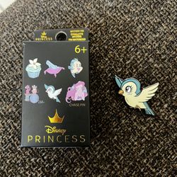 Disney Pin
