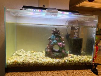 Rimless 5 gallon aquarium with everything!