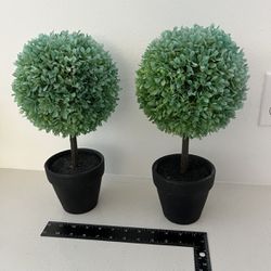 2- 14” Boxwood Topiary in black pot