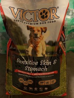 dog food