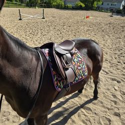 Henri de Rivel Vegan-X Junior Close Contact Saddle