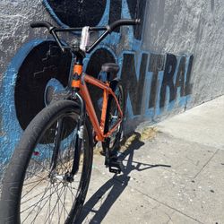 Throne 29er