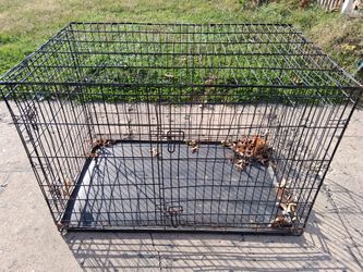 Dog Cage Xl