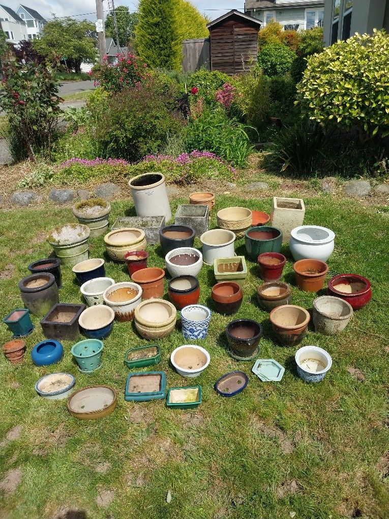 (50) GLAZED CERAMIC FLOWER POTS