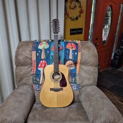 12 String Fender 