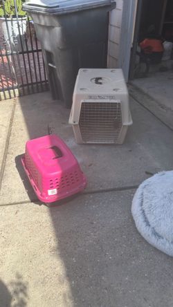 All cat supplies