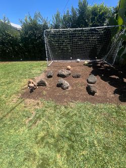 Artificial landscape rocks