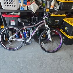 Bike $100
