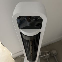 Nice Fan 
