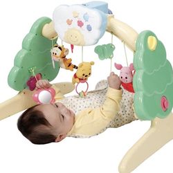 Takara Tomy Winnie-the-pooh 6way Gym Henshin Mary 