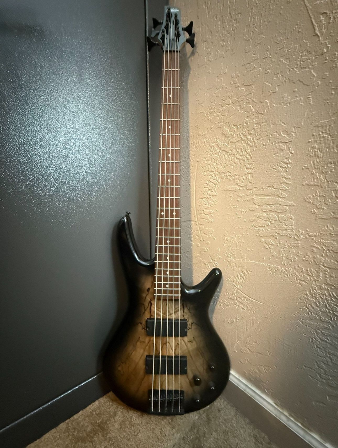 5 string bass guitar 