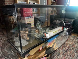 Reptile Terrarium