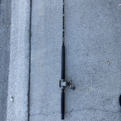Premier brand fishing rod with Daiwa Reel