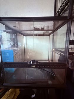Terrarium
