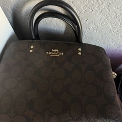 Coach Bag And Calvin Klein 