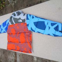 Kaws X North Face Puffer Large