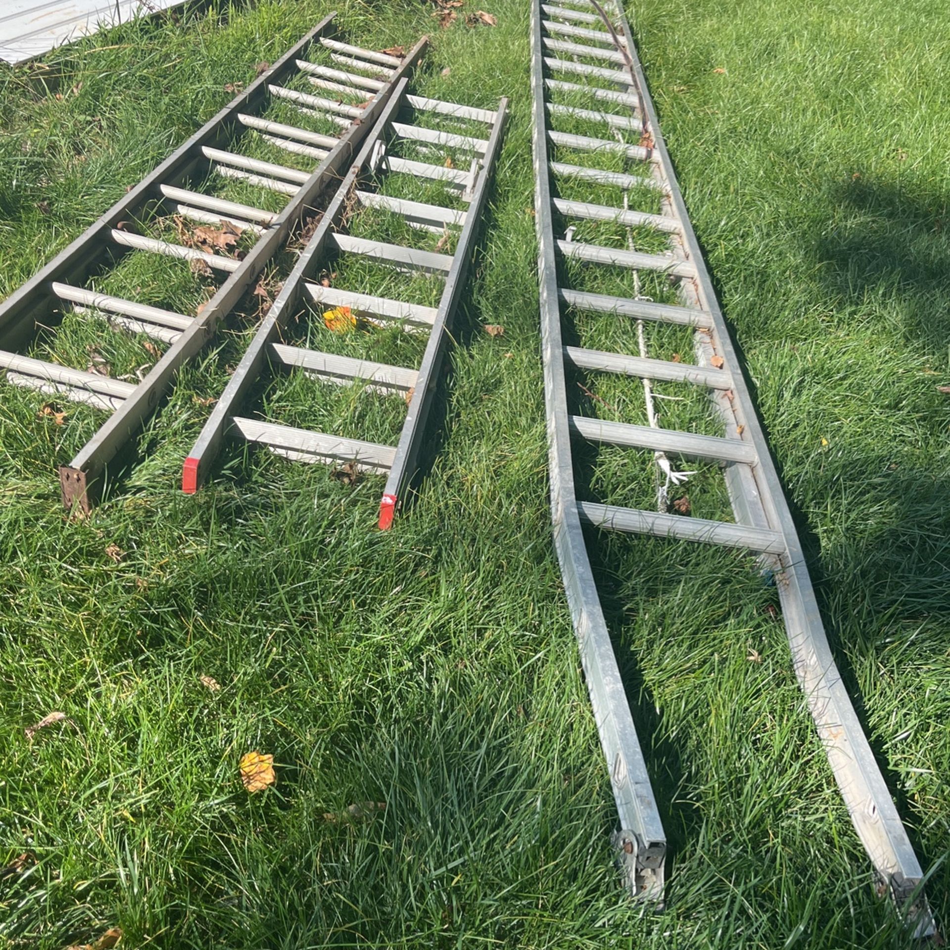 40 Ft Ladder and 12 Ft