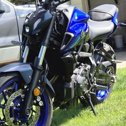2024 Yamaha MT-07