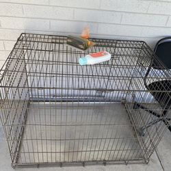 Large dog kennel