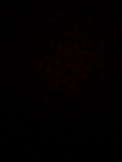 broken hoover boards good use for the parts