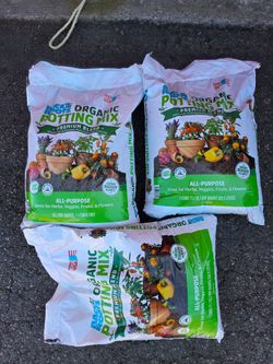 patting mix 3 bags