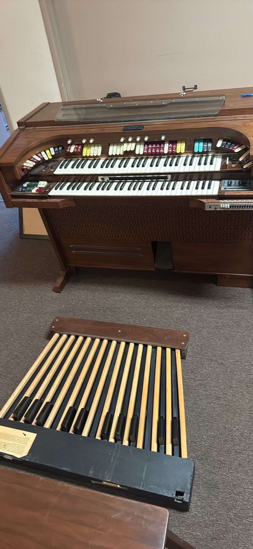 Organ