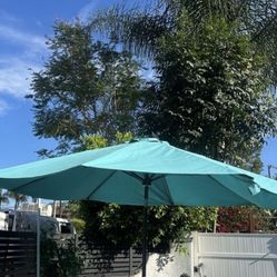 Umbrella 